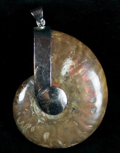 Large Iridescent Ammonite Pendant - Tall #6823